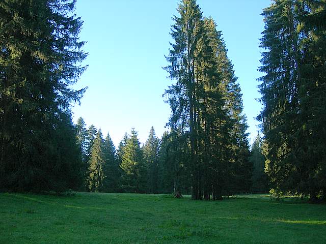 Avventura  Galerinica  sul  pianeta  Jurassiano